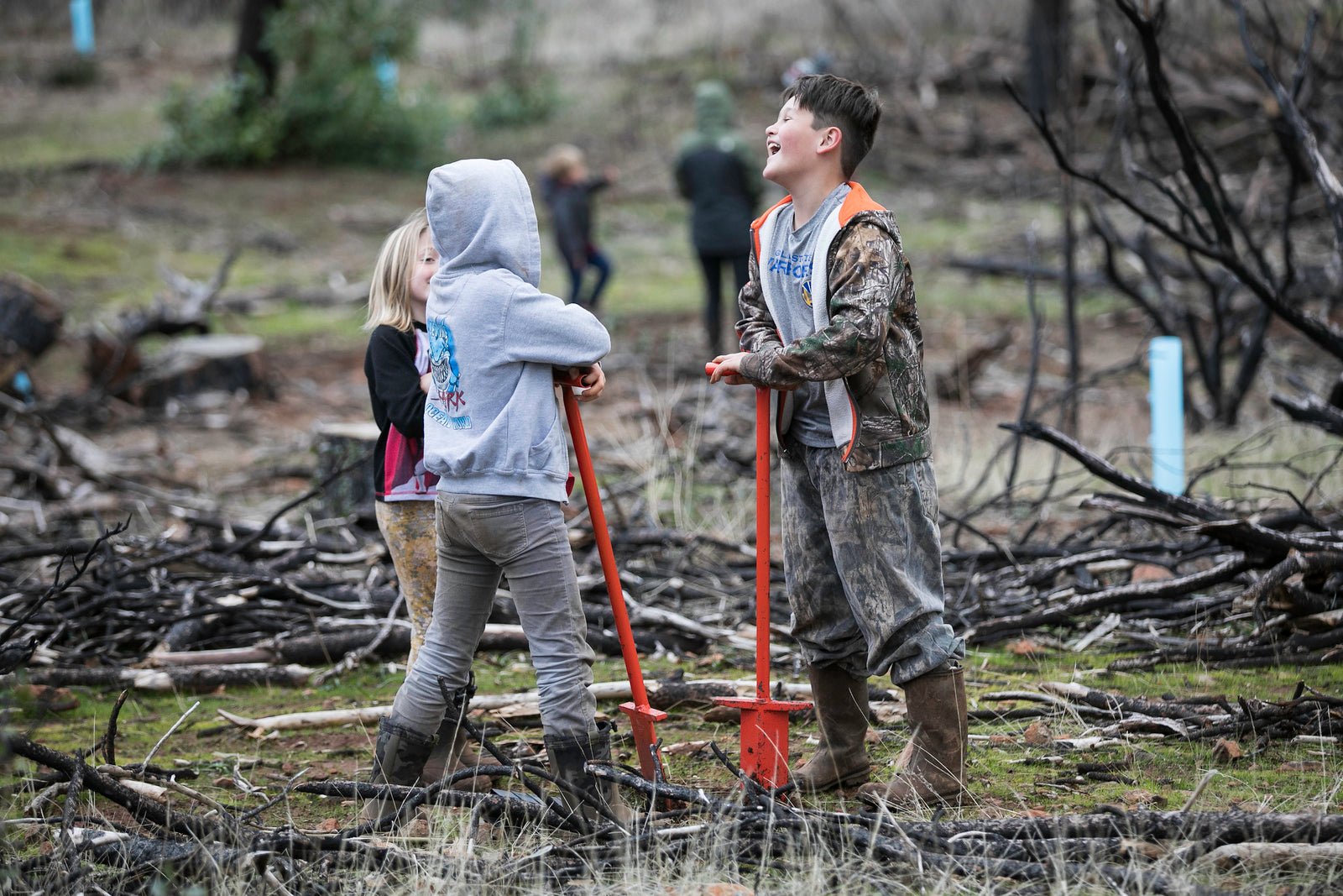 Tree to be Planted - Pflanze mit uns einen Baum - tebida